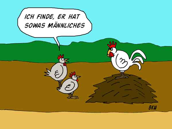 Cartoon: Der mnnliche Hahn